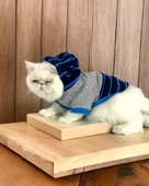 Blue Line Sweatshirt Kapşonlu Kedi Kıyafeti Kedi Sweatshirt - 1