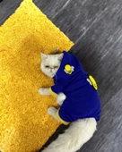 Navy Bee Kedi Tulumu Kedi Kıyafeti - 3