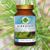 Kırk Kilit Toz Ekstresi (Equisetum Arvense)100 gr Cam Kavanoz - 2