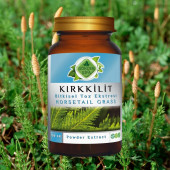 Kırk Kilit Toz Ekstresi (Equisetum Arvense)100 gr Cam Kavanoz - 3