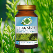 Kırk Kilit Toz Ekstresi (Equisetum Arvense)100 gr Cam Kavanoz - 7