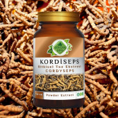 Kordisep Toz Ekstresi Cordyceps sinensis100 gr Cam Kavanoz - 2