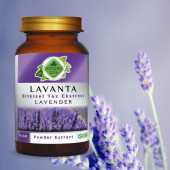 Lavanta Toz Ekstresi (Lavandula)70 gr Cam Kavanoz - 4