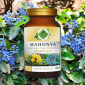 Mahonia Toz Ekstresi (Mahonia Aquifolium)100 gr Cam Kavanoz - 5