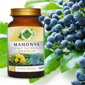 Mahonia Toz Ekstresi (Mahonia Aquifolium)100 gr Cam Kavanoz - 7