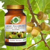 Meşe Palamudu Toz Ekstresi (Quercus Ithaburensis Subsp)30 gr Cam Kavanoz - 4