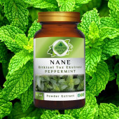 Nane Toz Ekstresi (Mentha Piperita L.) 80 gr Cam Kavanoz - 2