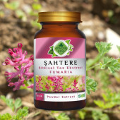 Şahtere Toz Ekstresi (Fumaria Officinalis)50 gr Cam Kavanoz - 4