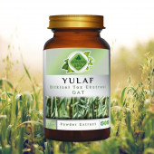 Yulaf Toz (Avena sativa L.)100 gr. Cam Kavanoz - 3
