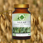Yulaf Toz (Avena sativa L.)100 gr. Cam Kavanoz - 6