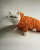 Pro Orange Duo Polar Kapşonlu Kedi Tulumu Kıyafeti - 3