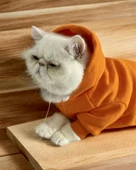 Pro Orange Duo Polar Kapşonlu Kedi Tulumu Kıyafeti - 2