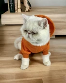Pro Orange Duo Polar Kapşonlu Kedi Tulumu Kıyafeti - 1