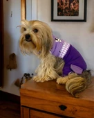 Chique Purple Duo Panda Tulum Köpek Kıyafeti - 1