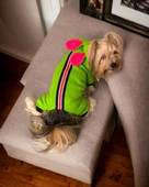 Shipy Pink Stripe Kulaklı Duo Köpek Tulumu Kıyafeti - 1