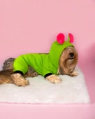 Shipy Pink Stripe Kulaklı Duo Köpek Tulumu Kıyafeti - 2