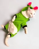 Shipy Pink Stripe Duo Kulaklı Kedi Tulumu,Kıyafeti - 1