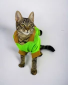 Froggy Kulaklı Duo Kedi Tulumu,Kıyafeti - 1