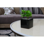 Miny Baby Kahve Kenar - Köşe Kes Yapıştır Makas Hediyeli 10 Metre Kenar + 10 Adet Köşe - 4