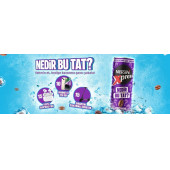 Nescafe Xpress Nedir Bu Tat 250 Ml X 24 Adet - 2