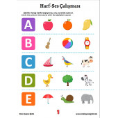 Çocuklar İçin İngilizce Eğitim Seti  3 Kitap + 25 Saat Anlatım - 3