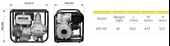 Gardenpro WP-40 Benzinli Su Motoru 13 Hp 4x4 - 2