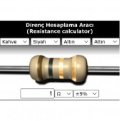 OEM 1 R (Ohm) Direnç - 1