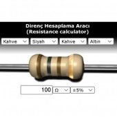 OEM 100 R (Ohm) Direnç thumbnail 1