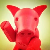 Cochon Articulé - Eklemli Domuz Plastik Aparat - 1
