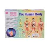 Asya Oyuncak Vücudumu Öğreniyorum Seti 00926 3302 thumbnail 2