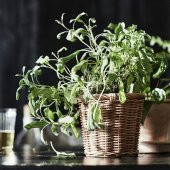 Hasır Görünümlü ,Rattan Saksı MeridyenDukkan 12 cm Bitki-Çiçek Saksısı - 3