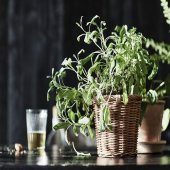 Hasır Görünümlü ,Rattan Saksı MeridyenDukkan 12 cm Bitki-Çiçek Saksısı - 4