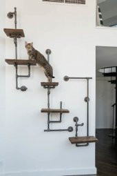 Dekoratif Duvara Borudan Kedi Merdiveni 3lü Set - 1