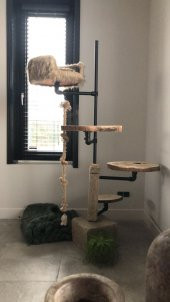 Dekoratif Borudan Kedi Merdiveni - 1