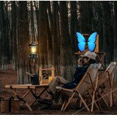 Profesyonel Taşınabilir Çok Fonsiyonlu Kamp Feneri Pg-4040 - 2