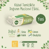 Sleepy Doğal Organik Pamuklu Islak Havlu 50li - 6