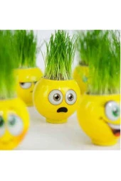 Çim Adam Orijinal 2 Adet Lisanslı Eğlenceli Sevimli Ürün Emojili Çimoji Oyuncaklar - 2
