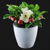 10 Adet 1,75cm Strafor Mantar Çubuklu - 4