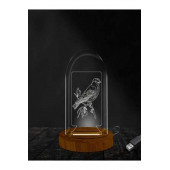 Kuş Lamba Fanus 3 Boyutlu Ofiste Ve Ev Dekorasyonu Elektrikli Masa Üstü Gece Lambası - 1