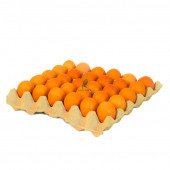 30 LU KARTON YUMURTA VİYOLÜ 18 LBS 1400 ADET VİYOL - 2
