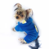 Navy Bee Duo Köpek Tulumu Köpek Kıyafeti - 4