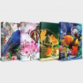 Halk Kitabevi Sevimli Hayvanlar Defter Seti 4lü v1 - 1