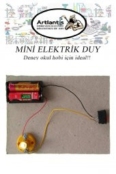 Mini Duy 10 Adet Deney Duyu Proje İçin Küçük Ampul Yuvası Minyonet Duy Okul Sınıf Elektrik Devre Deney Duyusu - 5