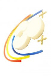 Boşaltım Sistemi Modeli 8 Parça 1 Paket Okul Sınıf Deney Seti Böbrek Boşaltım Sistem Deney Malzemesi - 5