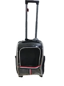 Kedi Köpek Şeffaf Çekçekli Valiz Gri thumbnail 1