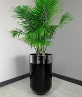 Dekoratif Krom Darbuka Parlak Siyah Saksı 70cm thumbnail 1