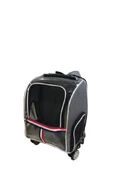 Kedi Köpek Şeffaf Çekçekli Valiz Gri thumbnail 3