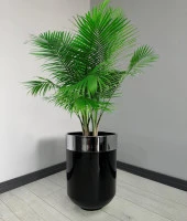 Dekoratif Krom Darbuka Parlak Siyah Saksı 60cm - 1