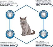 Advance Sterilised Hindi Etli Kısırlaştırılmış Yetişkin Kedi Maması 1.5 KG - 5