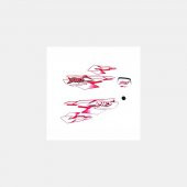 BWS 100 Sticker Seti Kırmızı - 1